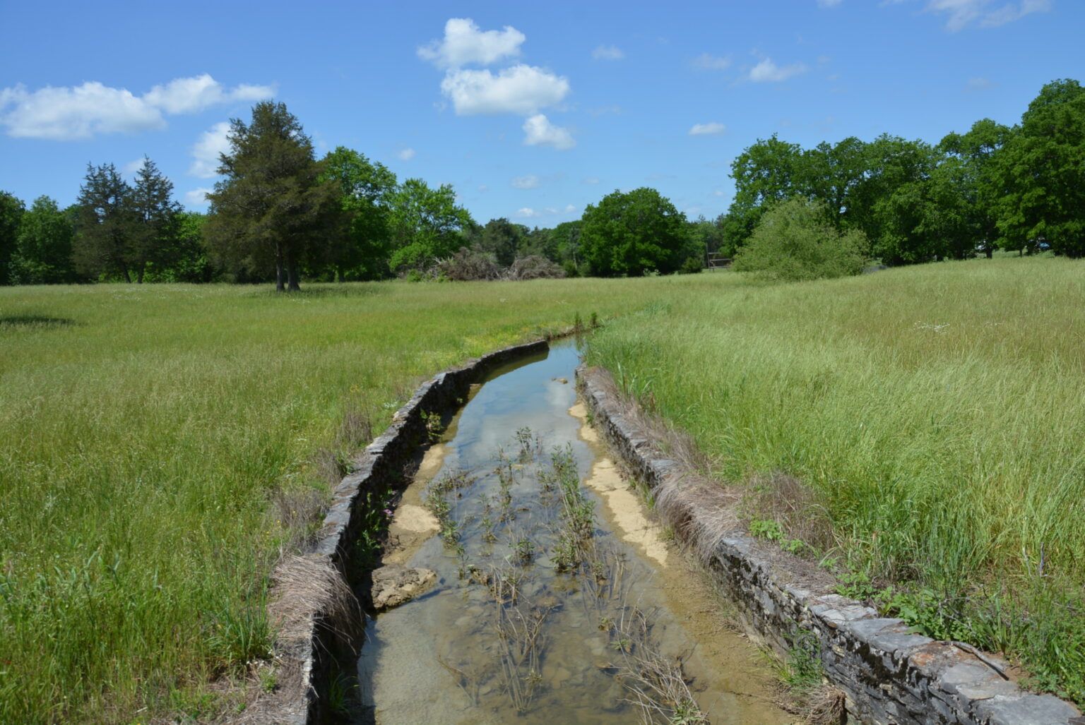 FOR SALE 58 Acres Chenault Ford Rd Fayetteville, TN Town and Country Realty